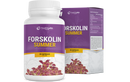 Forskolin Summer